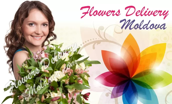 Enviar Flores Para Moldova