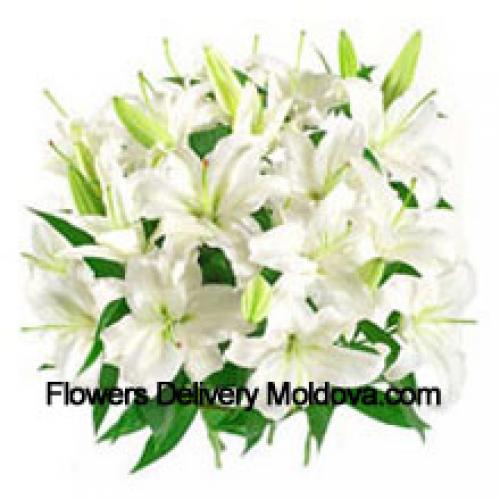 White Lilies with Fillers