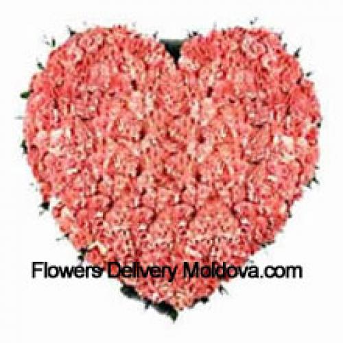 101 Pink Heart Carnations