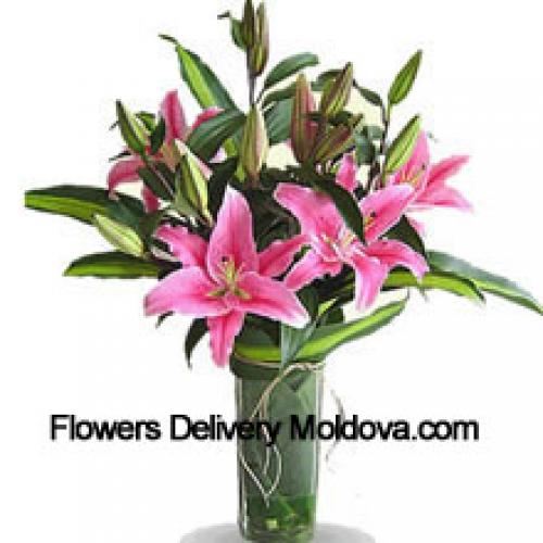 Cute Pink Lilies