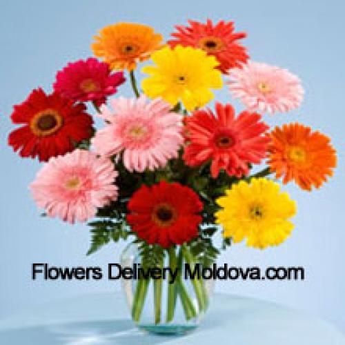 11 Sweet Mixed Gerberas