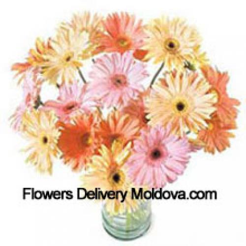 25 Gerberas Variadas y Elegantes