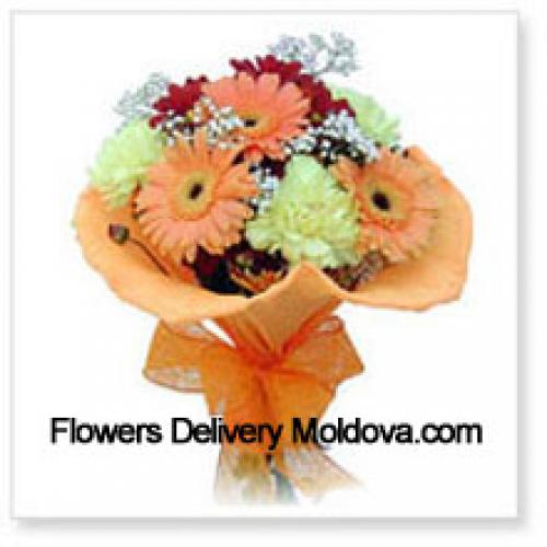 11 Assorted Cute Gerberas