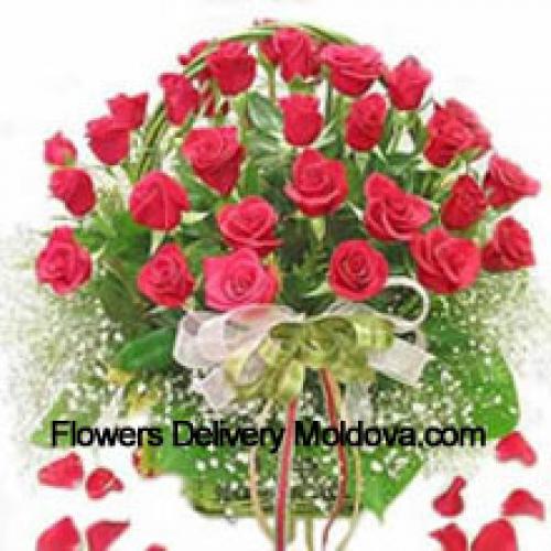 31 Charming Red Roses