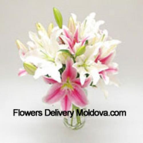 Multicoloured Lilies in Vase