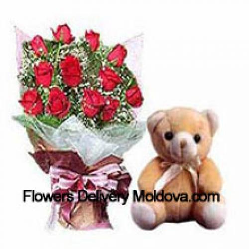 11 Beautiful Roses with Elegant Teddy