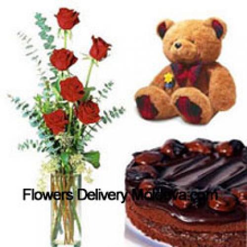 7 Red Roses with Chocolate Cake and Teddy