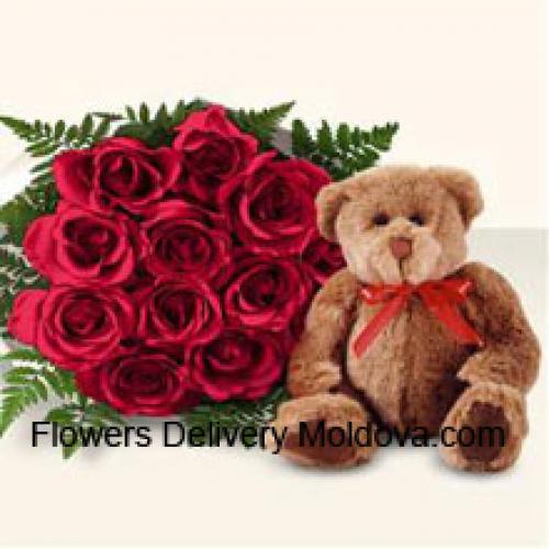 11 Rote Rosen mit niedlichem braunen Teddy